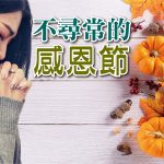 2020年11月專題: 不尋常的感恩節