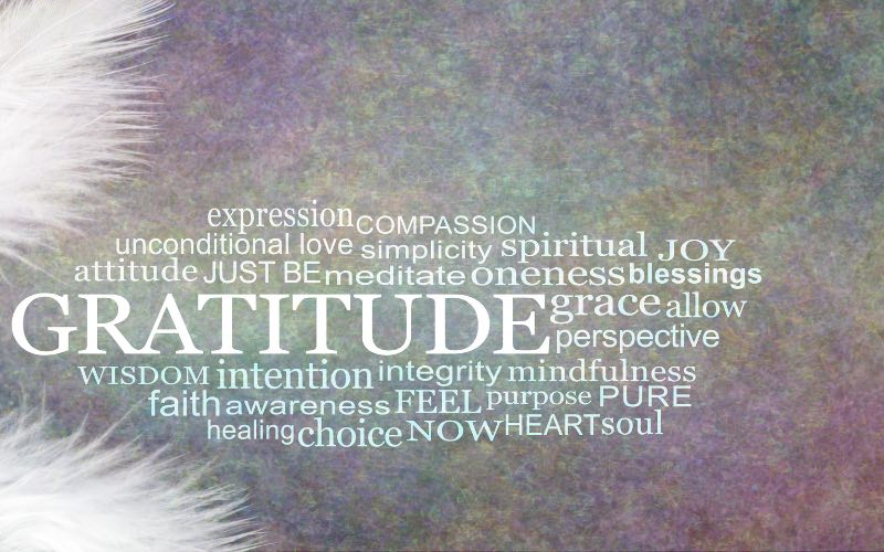 Gratitude is the root of a prosperous life